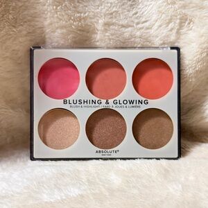 Absolute New York Blush & Highlight Palette - Pink, Orange, Brown